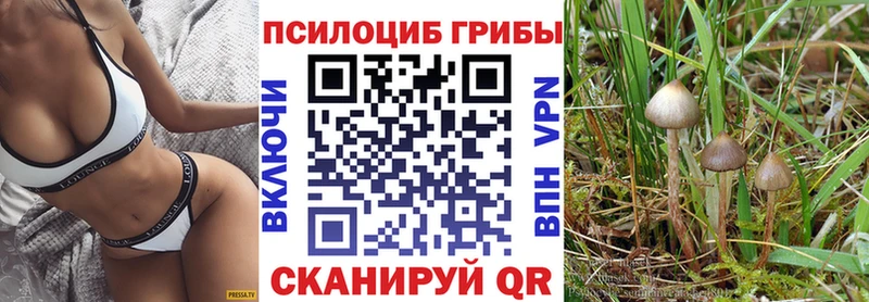 Галлюциногенные грибы мухоморы Мамадыш