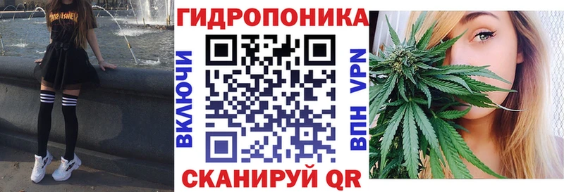 дарнет шоп  Мамадыш  Каннабис сатива 